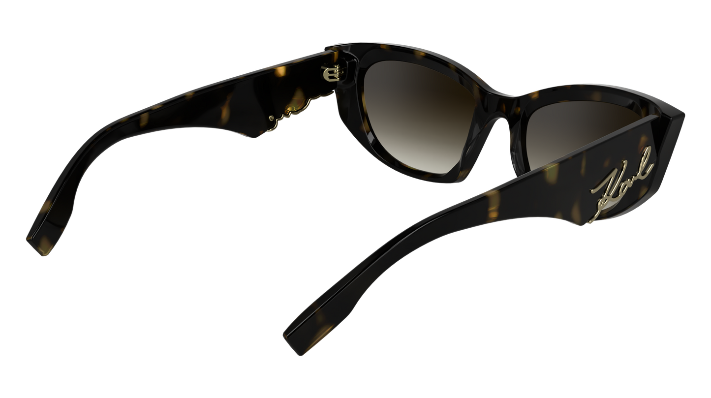 Γυαλιά Ηλίου Karl Lagerfeld KL6162S 242