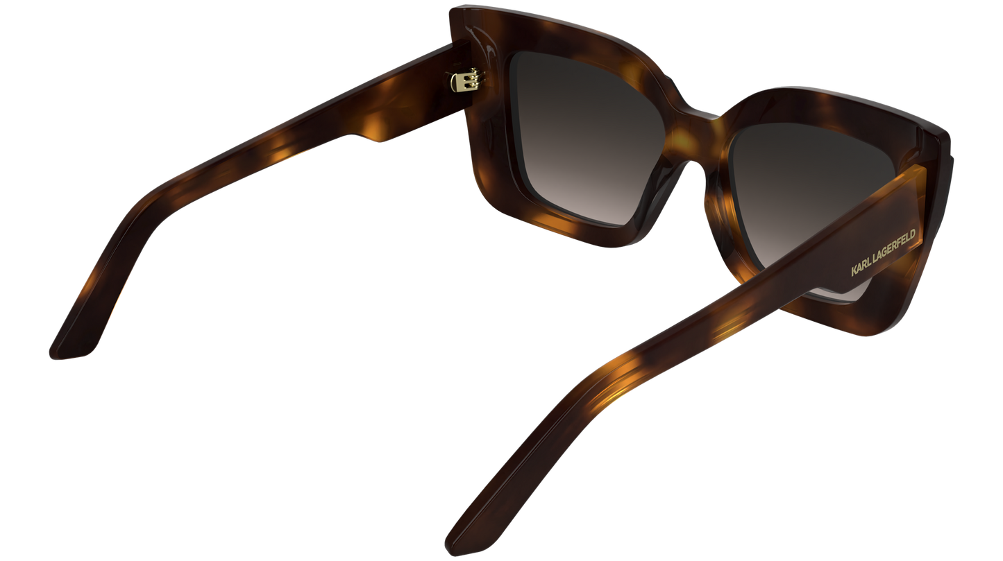 Γυαλιά Ηλίου Karl Lagerfeld KL6204S 017