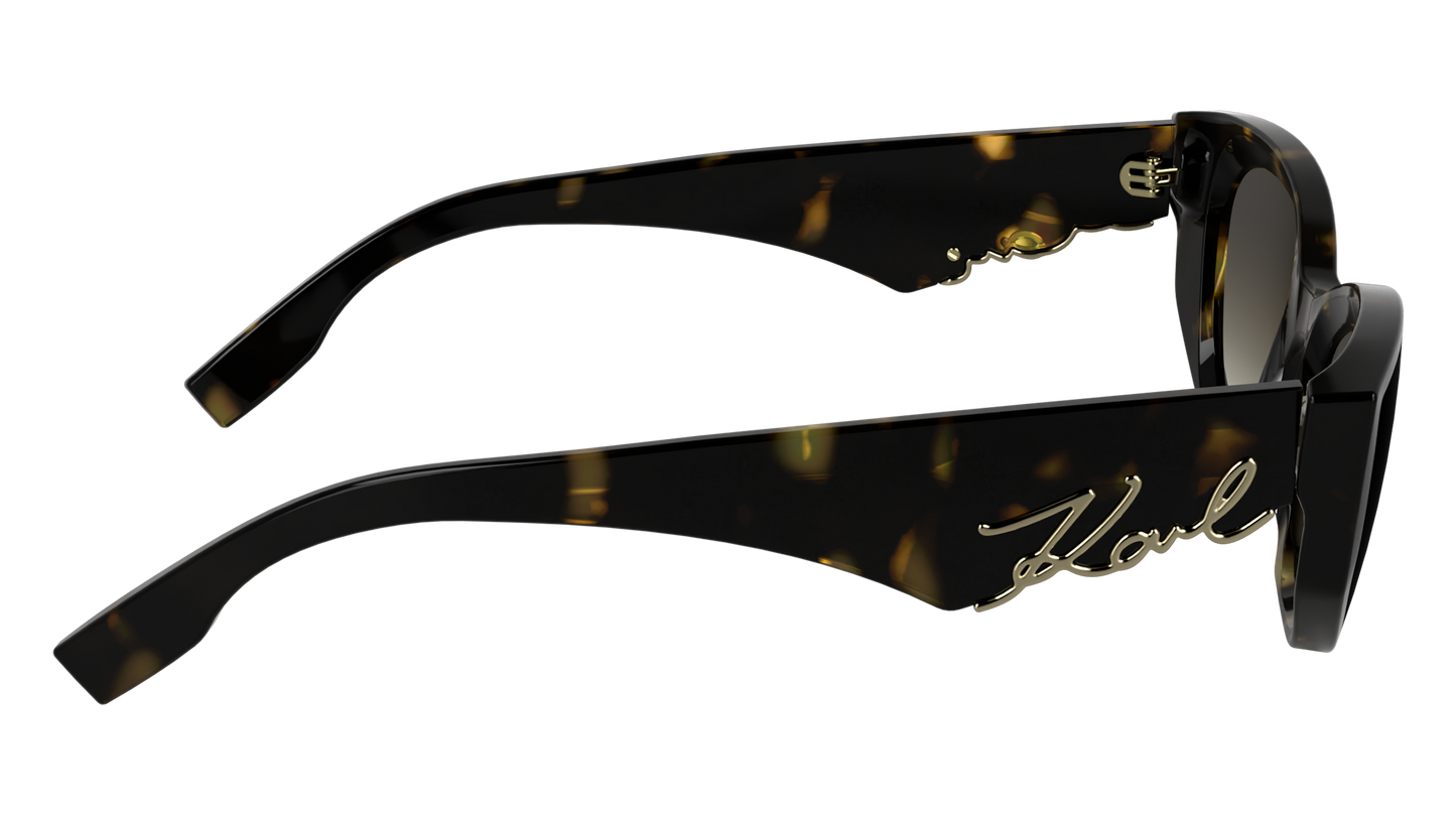 Γυαλιά Ηλίου Karl Lagerfeld KL6162S 242