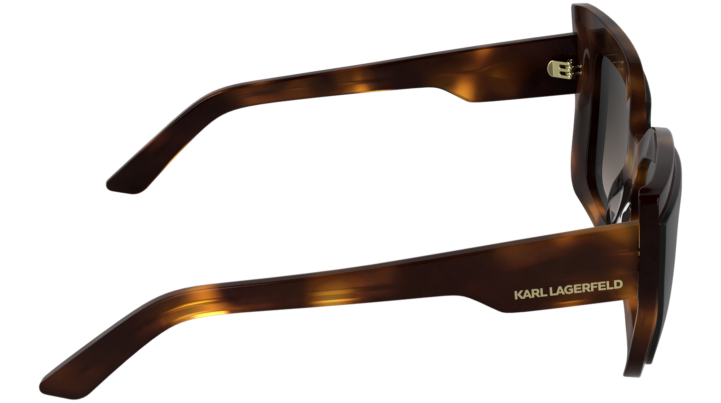 Γυαλιά Ηλίου Karl Lagerfeld KL6204S 017