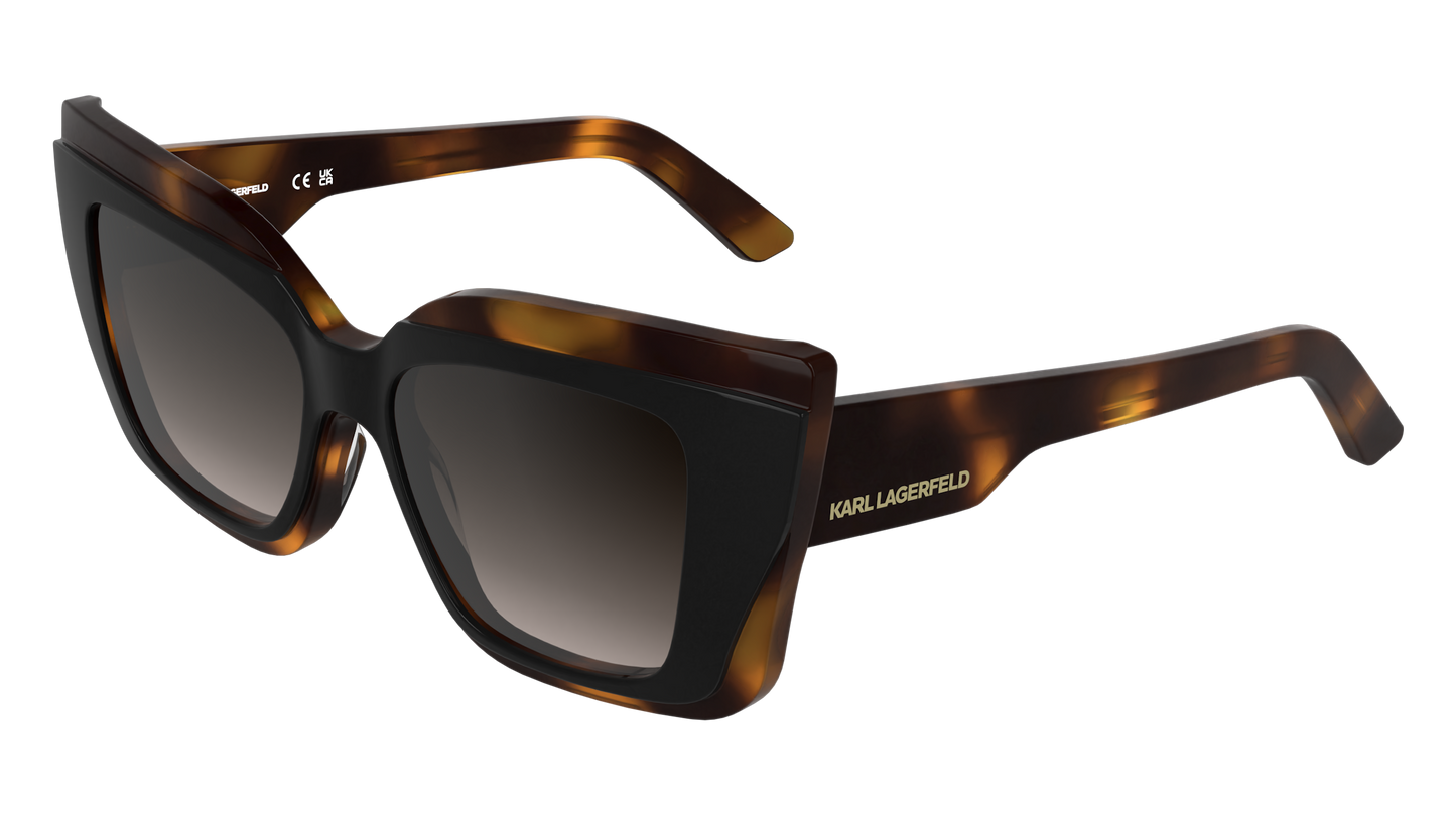 Γυαλιά Ηλίου Karl Lagerfeld KL6204S 017