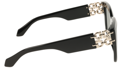 Γυαλιά Ηλίου Salvatore Ferragamo SF2083SE 001